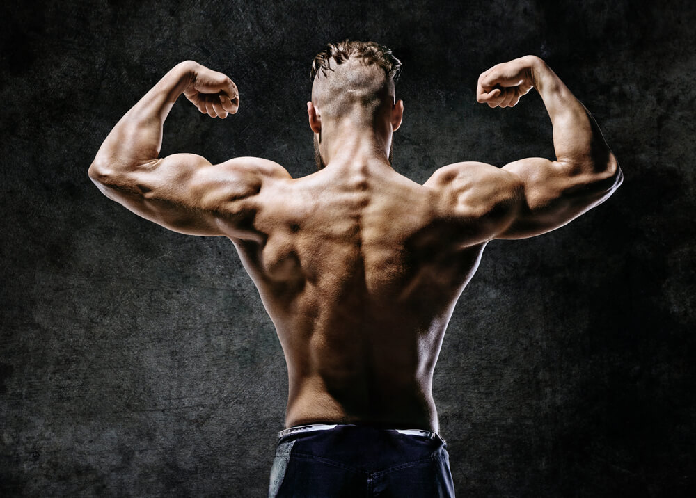 best back workout routine